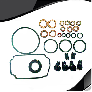 Diesel Pump Repair Kit