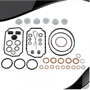 VE Injection Pump Rebuild Kit